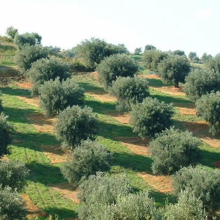 Gli olivi di piero Appartamento Grosseto Esterno foto